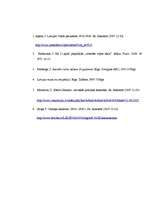 Referāts 'Kārļa Ulmaņa autoritārisms', 7.