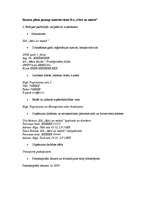 Referāts 'Biznesa plāna paraugs', 1.