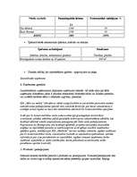 Referāts 'Biznesa plāna paraugs', 2.