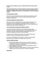 Referāts 'Biznesa plāna paraugs', 3.