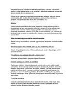 Referāts 'Biznesa plāna paraugs', 8.