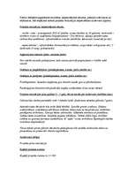 Referāts 'Biznesa plāna paraugs', 9.