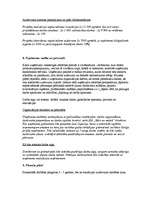 Referāts 'Biznesa plāna paraugs', 10.