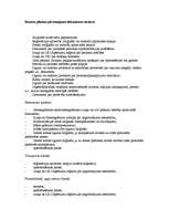 Referāts 'Biznesa plāna paraugs', 12.