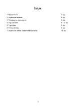 Biznesa plāns 'Apsardzes firma "Tigers"', 1.