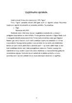 Biznesa plāns 'Apsardzes firma "Tigers"', 3.