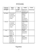 Biznesa plāns 'Apsardzes firma "Tigers"', 6.