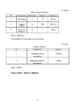 Biznesa plāns 'Apsardzes firma "Tigers"', 11.