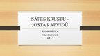 Prezentācija 'Sāpes jostas-krustu apvidū', 1.
