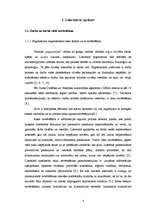 Referāts 'Fiziski smaga darba ietekme uz kustību - balsta aparātu manuāla darba veicējiem ', 23.