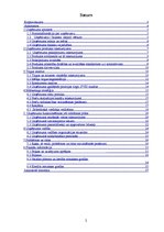 Biznesa plāns 'SIA "Spodrība"', 2.