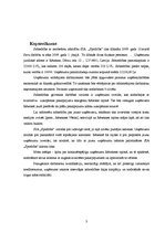 Biznesa plāns 'SIA "Spodrība"', 3.