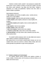 Biznesa plāns 'SIA "Spodrība"', 8.