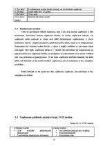 Biznesa plāns 'SIA "Spodrība"', 14.