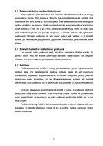 Biznesa plāns 'SIA "Spodrība"', 17.