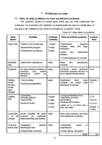 Biznesa plāns 'SIA "Spodrība"', 30.