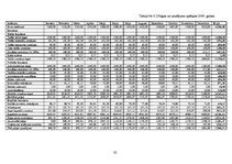 Biznesa plāns 'SIA "Spodrība"', 32.