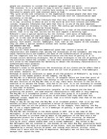 Eseja 'McDonalds Company Study', 9.