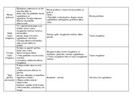 Konspekts 'Ēdināšanas uzņēmuma telpu plāns', 5.