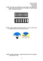 Eseja 'Suņu redze', 4.