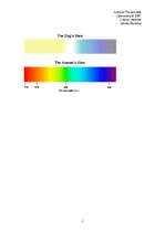 Eseja 'Suņu redze', 5.