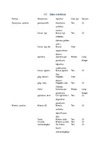 Konspekts 'Prasību dokuments. Loģistikas uzņēmuma uzskaites sistēma', 18.