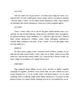 Konspekts 'Patērētāju psihogrāfisko tipu raksturojums', 2.