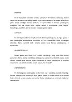 Konspekts 'Patērētāju psihogrāfisko tipu raksturojums', 3.