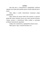 Referāts 'Videokonferences uzņēmējdarbībā', 2.