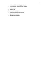 Referāts 'Darba aizsardzības sistēmas organizēšana uzņēmumā', 7.
