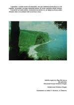 Referāts 'Okeānija', 7.