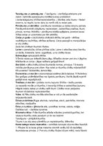 Konspekts 'Ētika un estētika. Virzieni un jēdzieni', 2.