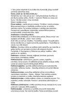 Konspekts 'Ētika un estētika. Virzieni un jēdzieni', 3.