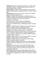 Konspekts 'Ētika un estētika. Virzieni un jēdzieni', 4.