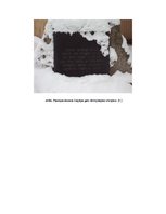 Referāts 'Holokausts Liepājā', 15.