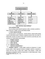 Referāts 'Personāla vadīšanas loma organizācijā', 34.