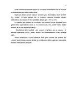 Referāts 'SIA "Arners" gada pārskata analīze', 4.