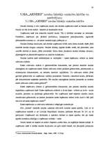 Referāts 'SIA "Arners" gada pārskata analīze', 30.