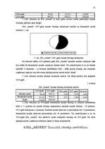Referāts 'SIA "Arners" gada pārskata analīze', 32.