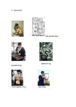 Referāts 'Mūzika viduslaikos', 6.