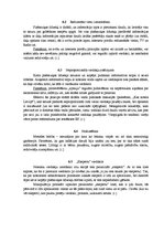 Referāts 'Plašsaziņas līdzekļu ietekme uz politiku un tās procesiem', 8.