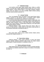 Referāts 'Plašsaziņas līdzekļu ietekme uz politiku un tās procesiem', 11.