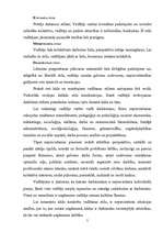 Referāts 'Vadības stili un X vadītāja analīze', 5.