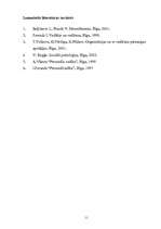 Referāts 'Vadības stili un X vadītāja analīze', 11.