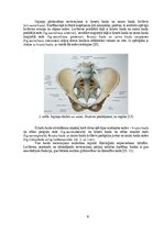 Diplomdarbs 'Sakroiliakālās locītavas mobilizācijas ietekme uz iegurņa funkcionālo stāvokli u', 8.