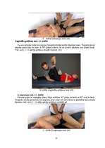 Diplomdarbs 'Sakroiliakālās locītavas mobilizācijas ietekme uz iegurņa funkcionālo stāvokli u', 15.