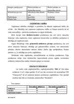 Biznesa plāns 'SIA "Divi A"', 4.