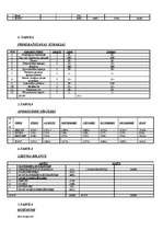 Biznesa plāns 'SIA "Divi A"', 18.