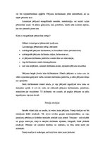 Referāts 'Etnogrāfiskās pētniecības metodes', 4.