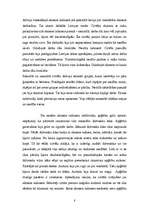 Referāts 'Akmens laikmeta apmetnes Latvijā', 8.